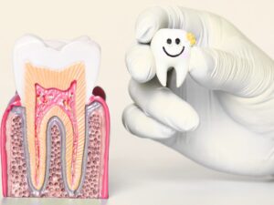 歯の模型と歯のマスコット